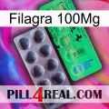 Filagra 100Mg new04